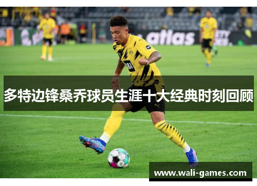 多特边锋桑乔球员生涯十大经典时刻回顾