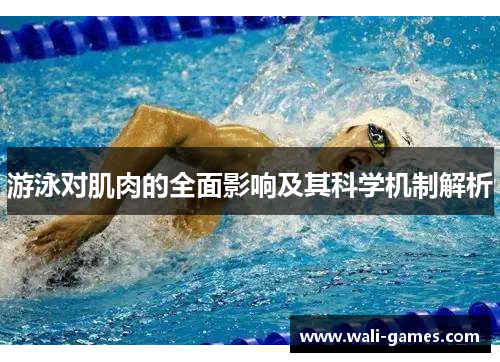 游泳对肌肉的全面影响及其科学机制解析