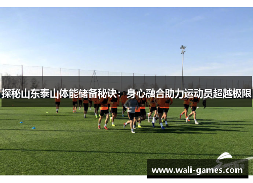 探秘山东泰山体能储备秘诀：身心融合助力运动员超越极限