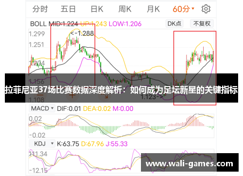 拉菲尼亚37场比赛数据深度解析：如何成为足坛新星的关键指标