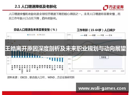 王皓离开原因深度剖析及未来职业规划与动向展望