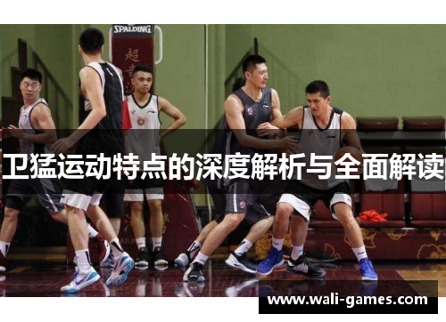 卫猛运动特点的深度解析与全面解读
