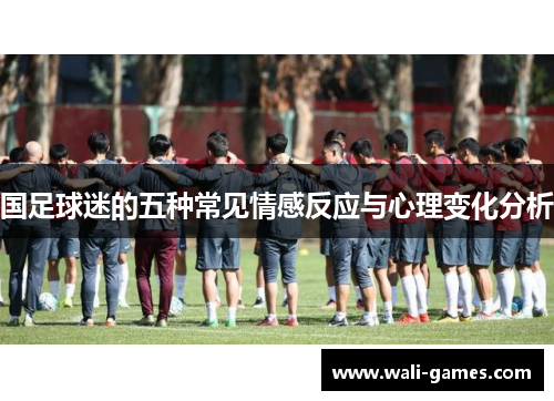 国足球迷的五种常见情感反应与心理变化分析